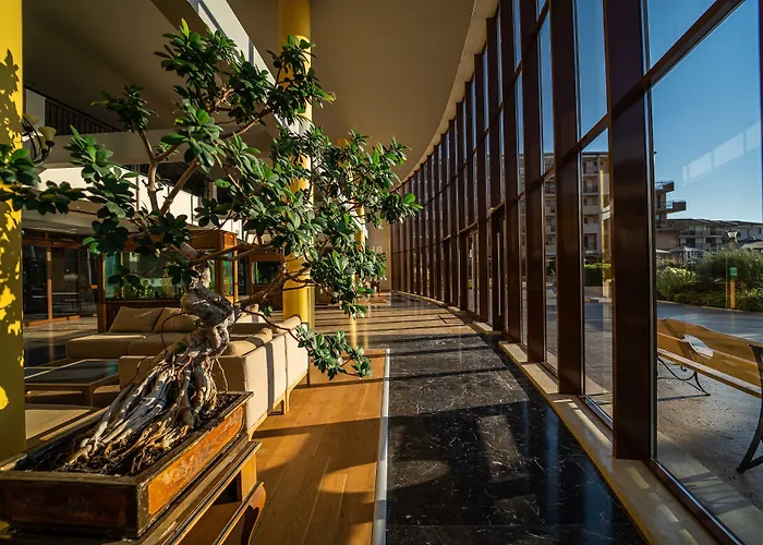 Hvd Clubhotel Miramar