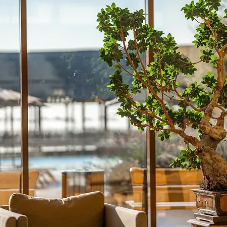 Hvd Clubhotel Miramar